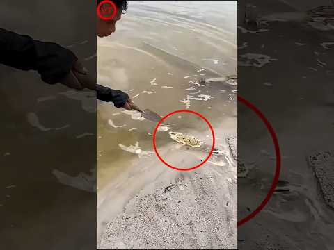 Unbelievable Discovery in Water! 🤯