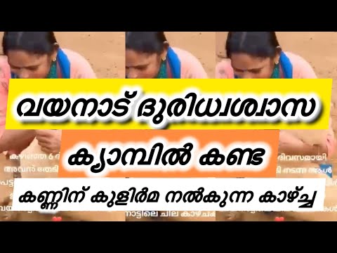 വയനാട് ദുരിധ്വശ്വാസ ക്യാമ്പിൽ കണ്ട കണ്ണിന് കുളിർമ നൽകുന്ന കാഴ്ച്ച