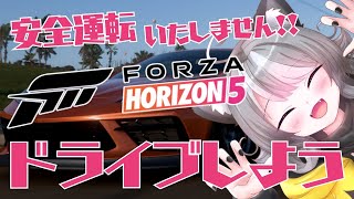 【Forza Horizon 5】参加型 メキシコを駆け抜けろ！悲鳴が鳴り響くドライブ配信【VTuber 晩景緋音】54
