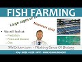 Fish Farming Practices and Challenges