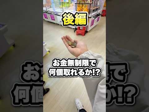 【後編】プロが閉店30分前のゲーセンで荒らしてみた結果まさかのwwww #shorts #クレーンゲーム #ufoキャッチャー #ゲーセン #ゲームセンター #arcade #万代札幌手稲店