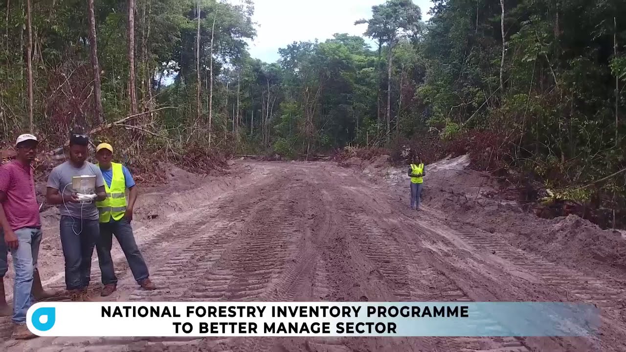 Guyana Forestry Commission – Ensuring Sustainable Forestry