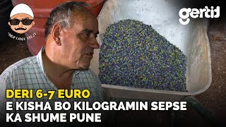 Kete profesion e dojme shume, edhe pse eshte i lodhshem dhe i mundimshem per mu nuk eshte