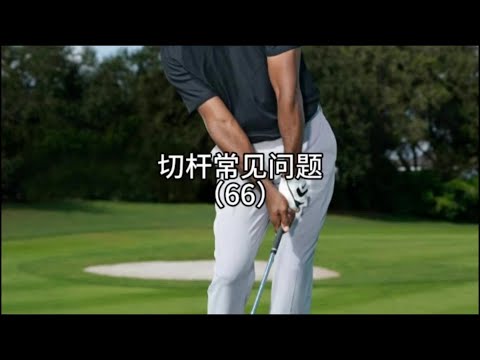 切杆是短距离击球 #高尔夫教学 #高尔夫 #高尔夫教练