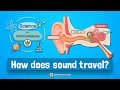 Understanding Sound Waves