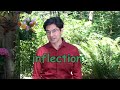 Understanding Inflection in Language