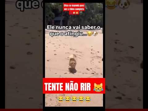 👆 CLICA e veja o Vídeo Completo 😹