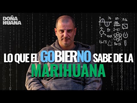 DATOS QUE SABE EL GOBIERNO DE LA MARIHUANA