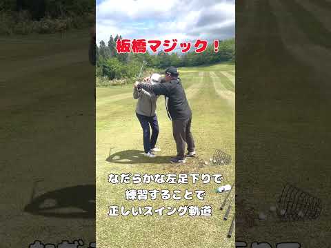 【那須合宿】上手くなりたい方は参加お待ちしております！芝の上から練習できる！最高の合宿！#ゴルフ #shorts