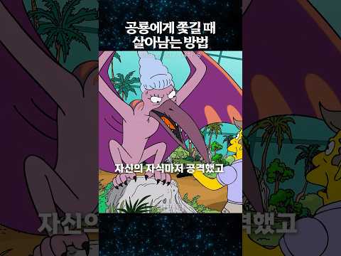 공룡에게 쫓길 때 살아남는 방법