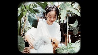 Tuyết Phượng - Khu Vườn Sân Thượng (Official Visualizer)