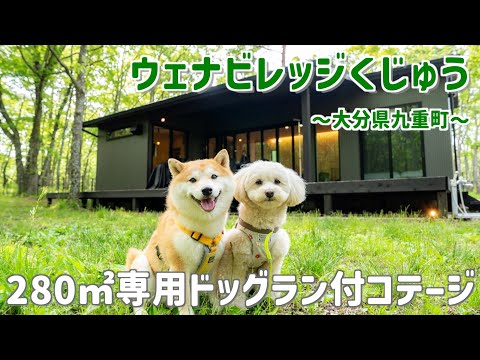 【犬連れOK】280㎡専用ドッグラン付コテージ「ウェナヴィレッジくじゅう」が快適すぎて住みたくなりました♫【#117 】
