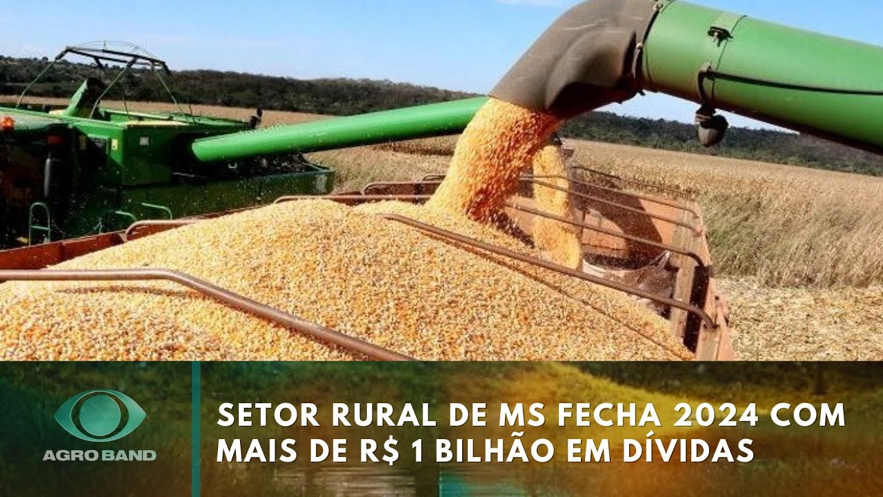 Giro Brasil plantio de arroz dívidas do setor rural de MS e mais