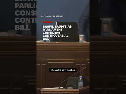 Brawl erupts as parliament considers controversial bill
