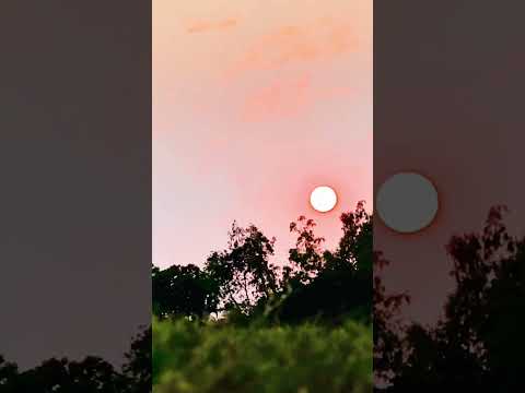 Enjoying sunset. #beauty of nature #happyness