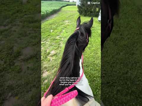 Facts #horse #equestrianjourney #horseenthusiast #stopanimalabuse #horsefan #equestrian #puppy #love