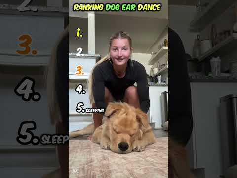 Ranking Dog Ear Dance