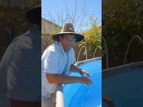 How to clean and maintain your pool 🏊 #pool #backyard #cleaning #problemsolved