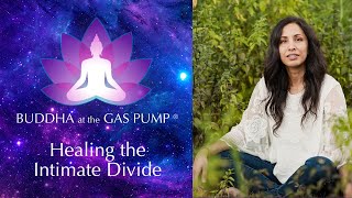 Healing the Intimate Divide - Savita Veera - Buddha at the Gas Pump Interview
