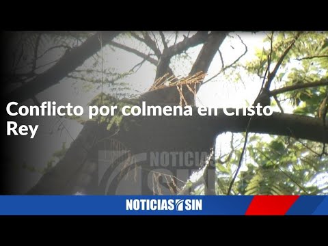 #SINFindeSemana: Colmena, drenaje y clima