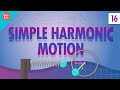 Understanding Simple Harmonic Motion and the Millennium Bridge