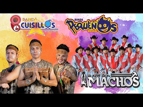 Pequeños Musical, Cuisillos, Machos - Banda Viejitas Pero Bonitas - Lo Mejor de la Banda Romántica