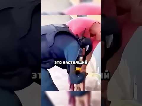 Этой собаке перевязали пасть? #животные #спасение #собаки