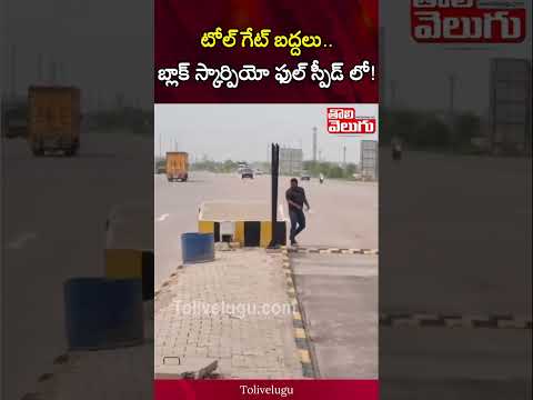 టోల్ గేట్ బద్దలు.. బ్లాక్ స్కార్పియో ఫుల్ స్పీడ్ లో! | Tolivelugu