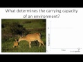 Carrying Capacity and Population Dynamics