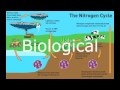 Exploring Biogeochemical Cycles