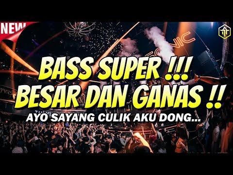 BASS SUPER BESAR DAN GANAS !!! DJ JUNGLE DUTCH FULL BASS TERBARU 2025