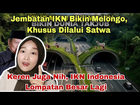 JEMBATAN SATWA DI IKN BIKIN MELONGO, KHUSUS BUAT LALUAN SATWA, LOMPATAN KEREN IKN‼️MALAYSIAN REACT