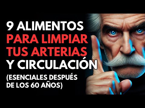 Limpia Tus Venas y Mejora Tu Circulación con Estos 9 Alimentos Poderosos | ESTOICISMO