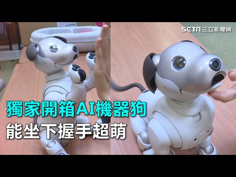 獨家開箱AI機器狗　能坐下握手超萌｜三立新聞網SETN.com - YouTube