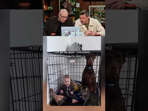 ЗАСМЕЯЛСЯ-ПОДПИСАЛСЯ Ч.138😂СМЕХ ПОД ЗАПРЕТОМ!