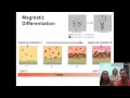 Magma Evolution and Mineral Behavior