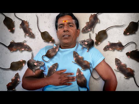 He Worships 25,000 Rats Every Day (True Story)