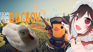 朝活ダッコフChill  lab攻略したいです!! #escapefromduckov