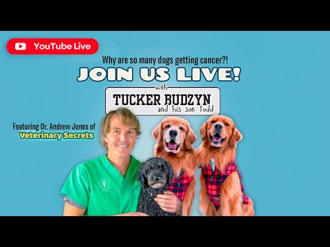 LIVE: Why Are So Many Dogs Getting Cancer and What Can Be Done About It? | With Dr. Andrew Jones