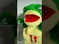Color Preferences and Reactions
