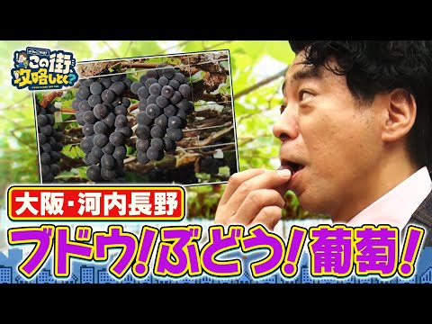 【よゐこ有野×大阪】激甘ブドウを食べまくり＆河内長野の道の駅へ／大阪の街の“攻略法”を探す街ブラ