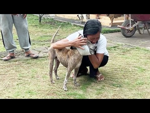 His Owner Reached Out to the Rescuer for Help When They Discovered He Had Life-threatening Diseases