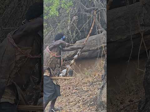 Using handmade bow and arrow to hunt their food #africantribe #life #villagelife