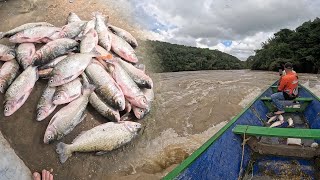 Amigos de la Pesca cap 37: Pasaron 7 años para volver a ver algo como esto en el Rio Guayabero