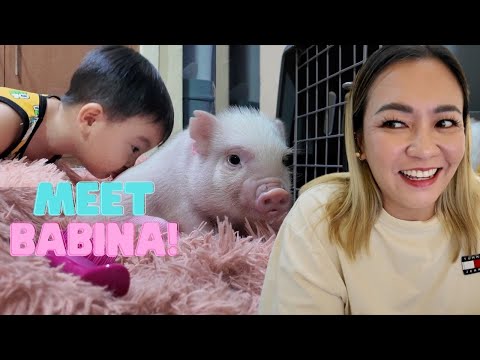 MEET BABINA!! ANG AKING CUTIE PAMANGKIN!