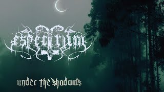 ESPECTRUM  Under the Shadows Official Lyric Video