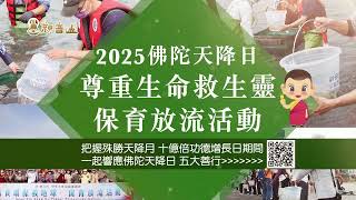 尊重生命救生靈！觀音山 佛陀天降日「五大善行」愛滿人間 邀您一起響應