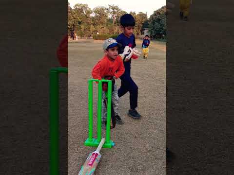 Most DANGEROUS Moments In Cricket History #viral