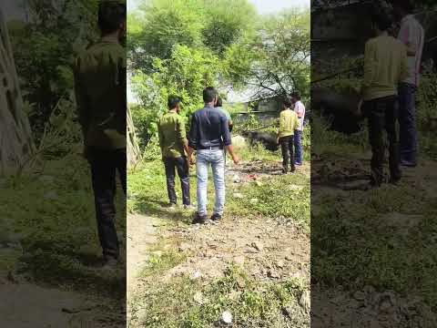 हिंदू है मेरा धरम गो रक्षा मेरा करम🙏🚩