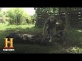 Unusual Animal Attack Events